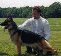 BOF Jomar's On Target Vonivan