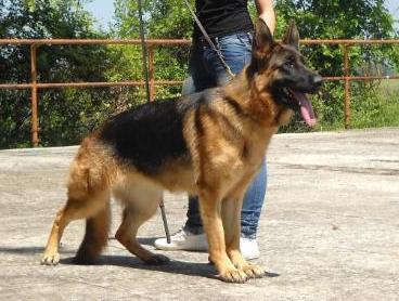 V Blanka (Casal Moncada)(2009)