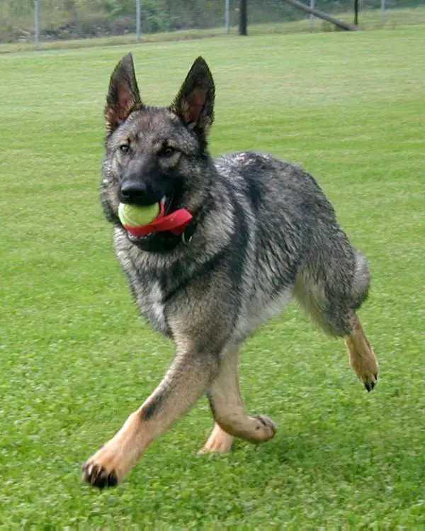 Trina von Schraderhaus