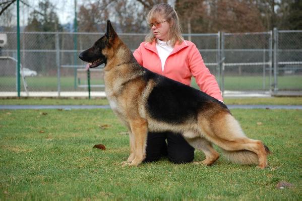 AM.CH.CAN.BIS.SEL.CH Sunnyside's Drew Me In Fonseca