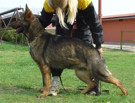 SG Klara II. z Pohranizni Straze