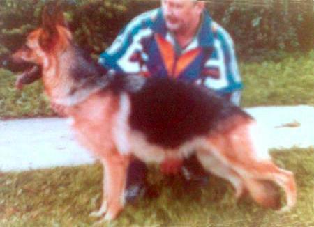 SG JHK BSZS,V(LV) Tessy vom Baruther Land