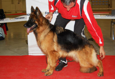 Else vom Fichtenschlag