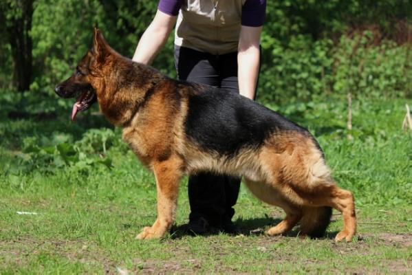 VA (BY, LV, LT, EST) De Orse Mak Flai OSTIN