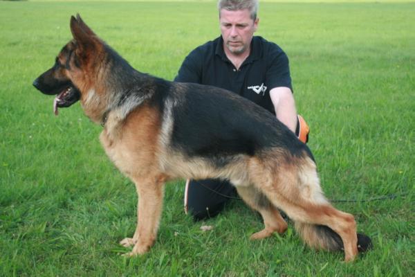 Wastel von der Wasserkuppe