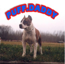Puff Daddy