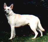 Hoofprint  Keagen
