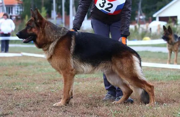 Tyler von der Blanke