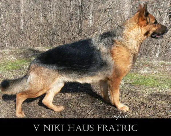 V Niki Haus Fratric