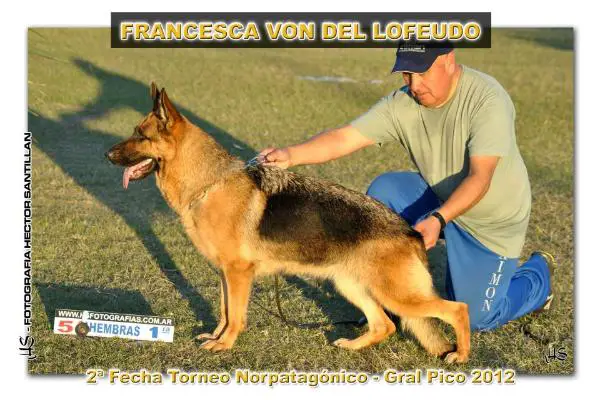 Francesca Von Del Lofeudo