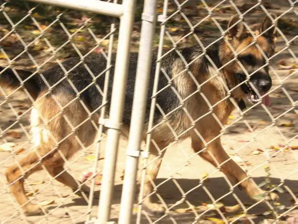 LRRP von Haus aus Bade