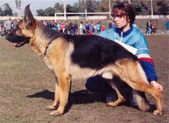 BKHCH,- Jeck Of Assaracus