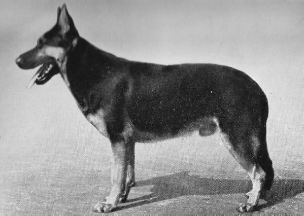 '42 VA4 Götz vom Meisterrecht