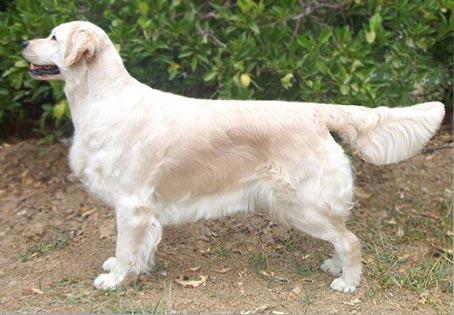 Penelope de Cal Arana