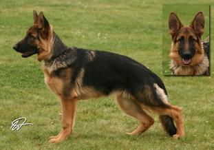 V Gwenny von der Malchower Aue