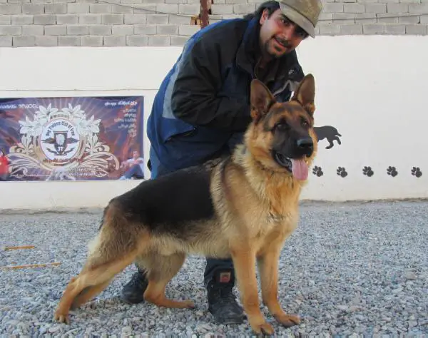 K-Whisky Erfolg Master