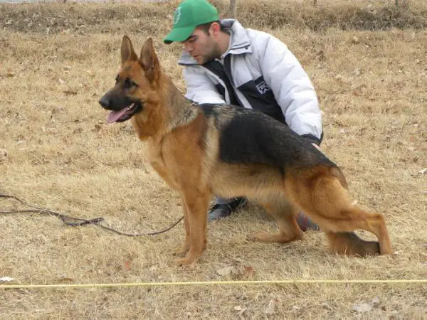 ITAYA VON HAUS GÖBRA