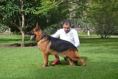 Yarus zur Medbacher Mühle