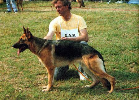 Dalia di Ca'San Marco (1985)