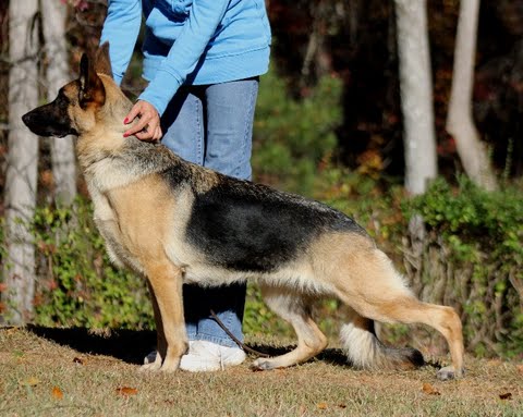 Ekhota's Mimzi Of Galiano