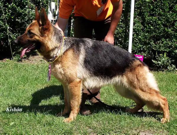 Erna von Team Allenstein