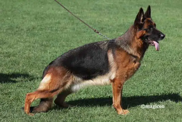 VA(CH) Clio Del Ceresio