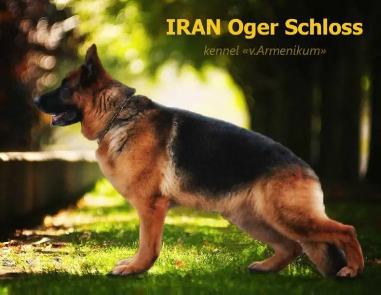 CH.EURASIA.RKF. RUS. Iran Oger Schloss