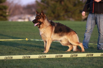 SG1 Canyon vom Haus Gregor