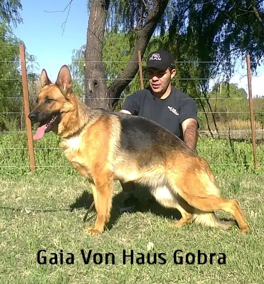 Gaia Von Haus Göbra
