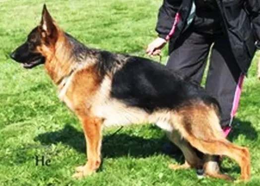 Caran od Hradu Drahotuch