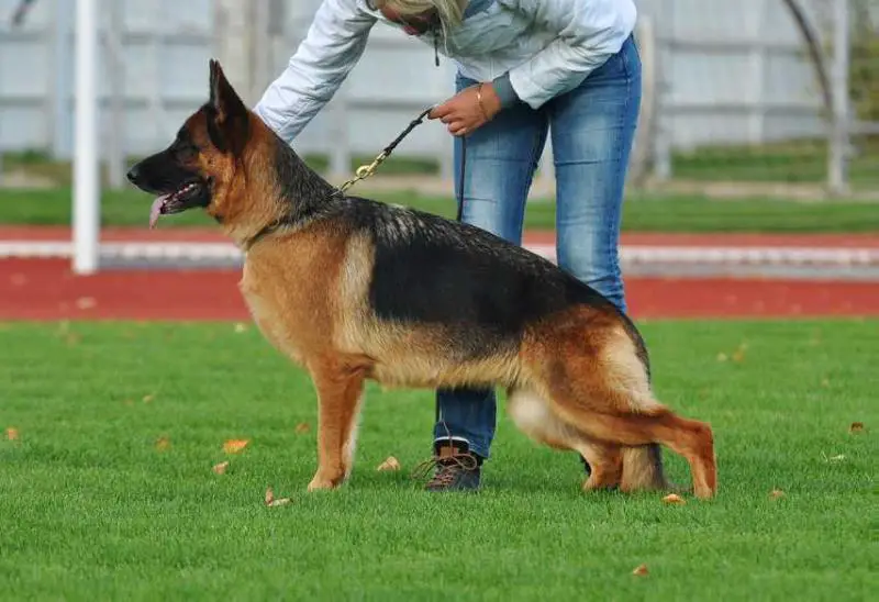 VA1 RU*2XVA1 UA*VA1 MD*VA3 BAL*INT.CH Hloya z Azovskogo Berega