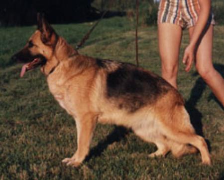 VA (Hun) Gazdagpataki Meggi