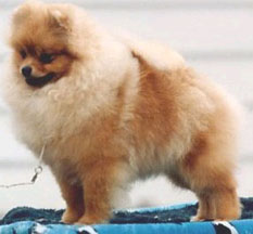 CandleBrite's Cuz I'm Worth It