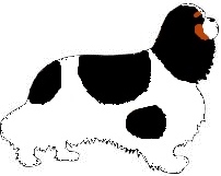 Leynsord Miss Berlioz