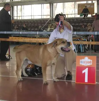 Kastor's Haus Korsar