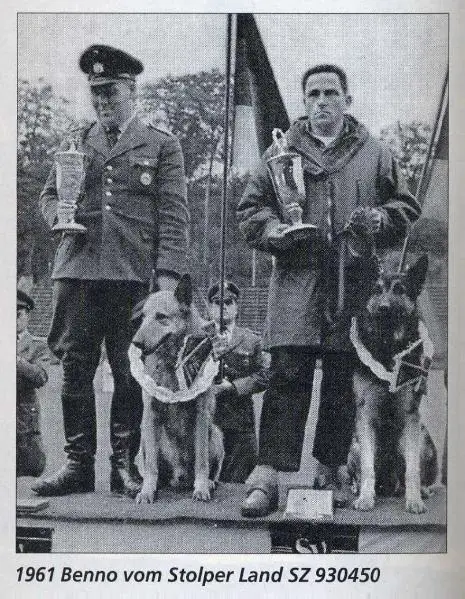 BSP Sieger 1961 Benno vom Stolper Land