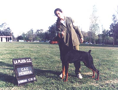 Ayda Ying del Hainidacar