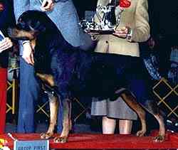 Von Brader’s Eiger