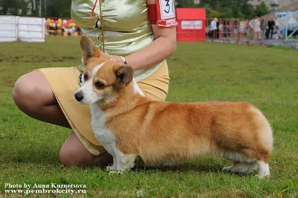 INT, MULT CH Pishanel Gabriela