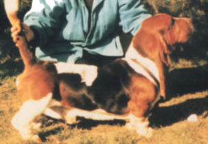 Fred de Primaugue