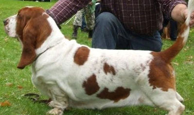 Billie-turf van de oude watertoren