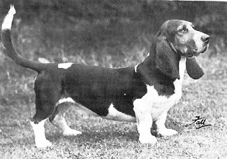 ENGCH Grims Westward