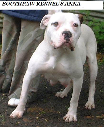 Southpaw Kennel's Anna