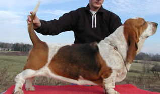 Swany du haras de la vergne