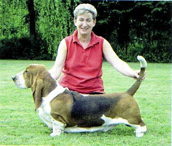 Bromwylva imperial mint of dereheath