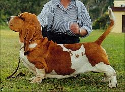 Lebelier I'M Ruff'N'Reddy