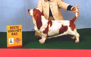 Josephine van Hollandheim