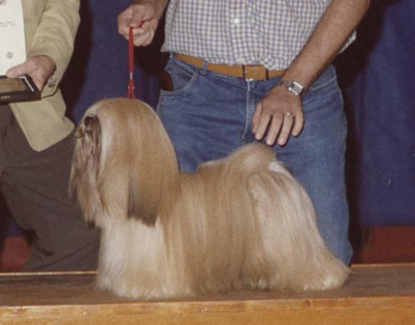 BRAZ CH Aerosmith of Excalibur Quest