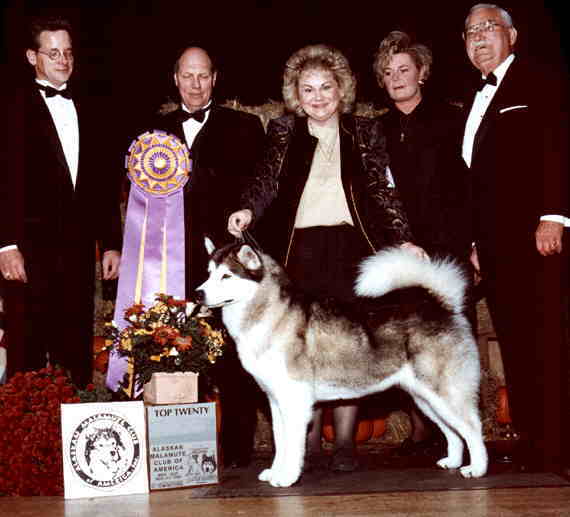 CH (US/CAN) BIS BISS Byeyo's Champagne 'N Ice