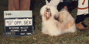 Orlane's Simplicity Of Geodan